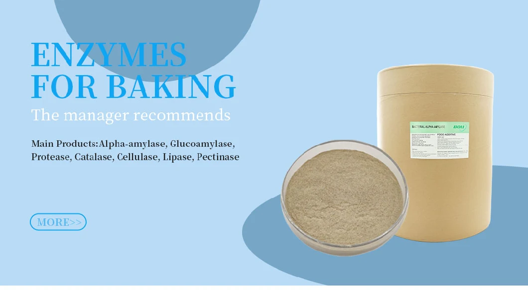 Wholesalepowder Neutral Protease Protease Enzyme Neutral Protease Enzyme Protease Bakery Use Protease Powdered Enzyme Amylase Powder Enzyme of Lipase for Flour