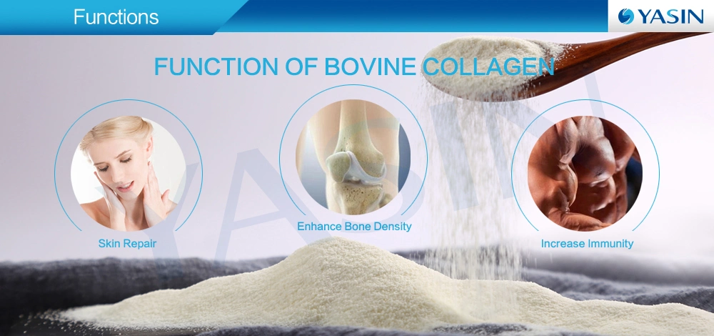 Animal Protein Collagen Hydrolyzed Collagen Powder